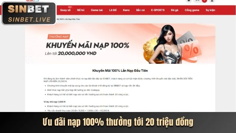 Hoàn Trả Hàng Ngày AW8